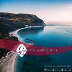 13895168_1407656232874497_1797506610596982528_n