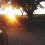 19149462_1878338225772551_1340671534012975166_n