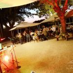 19275005_1878338309105876_7580943498615233205_n