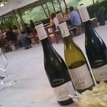 37092787_2068154760124229_6359246823202226176_n